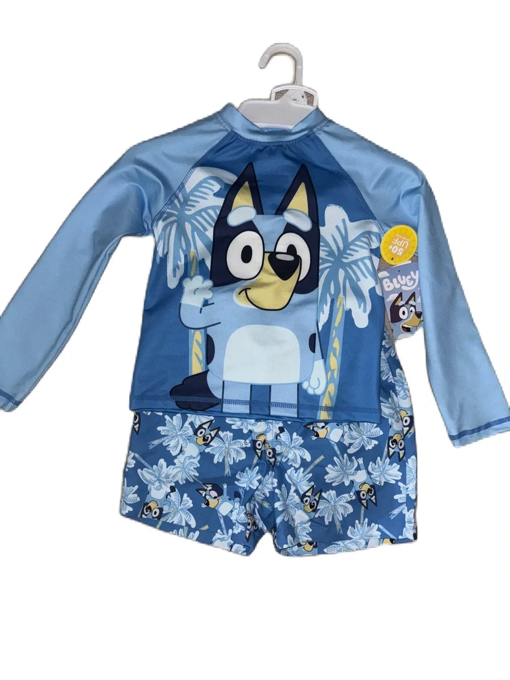 Bluey Boys Kids Rash Guard Set 2 pc Long sleeve Shirt & Swim Trunks Bathing Suit